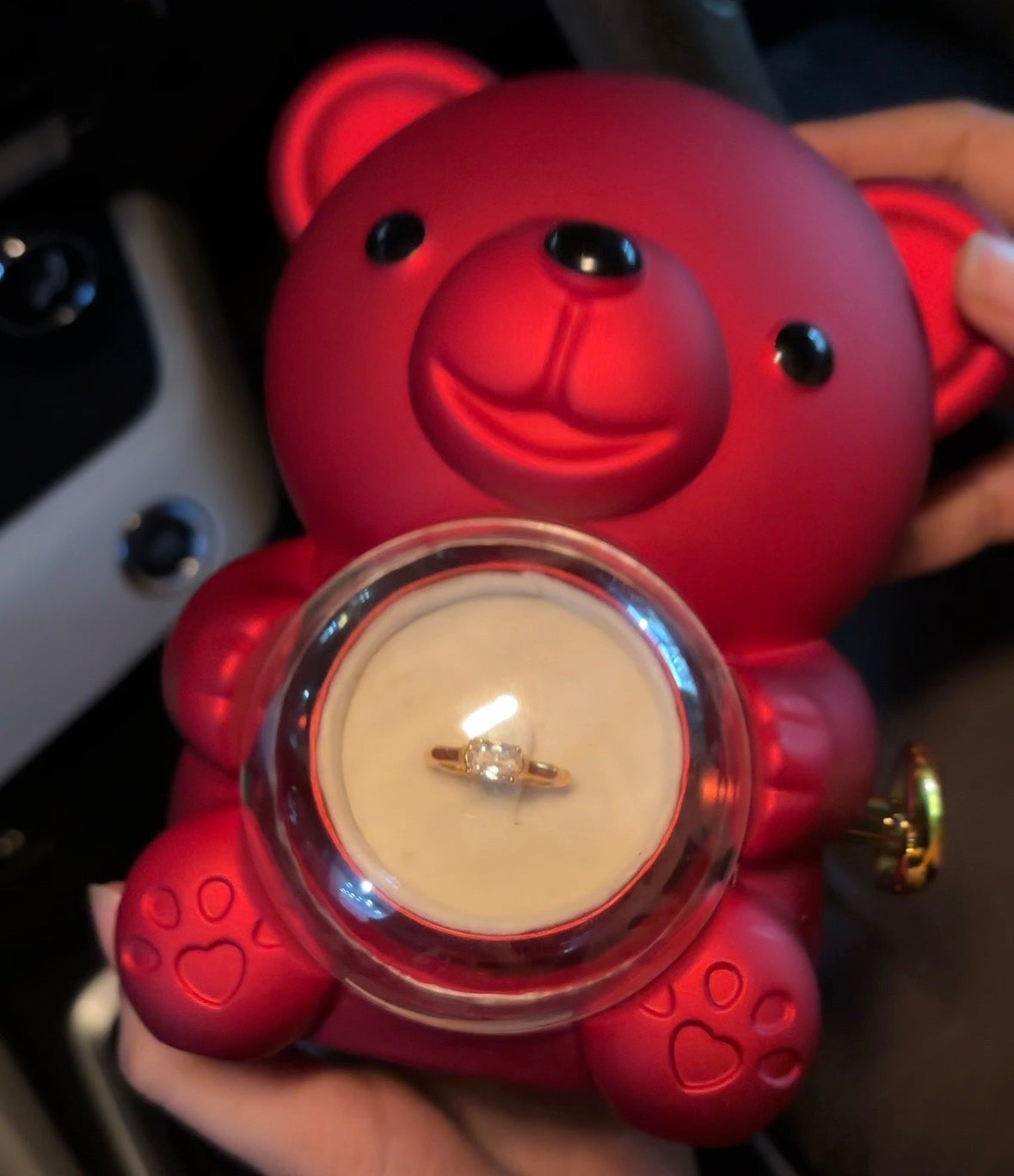 Rose bear gift box