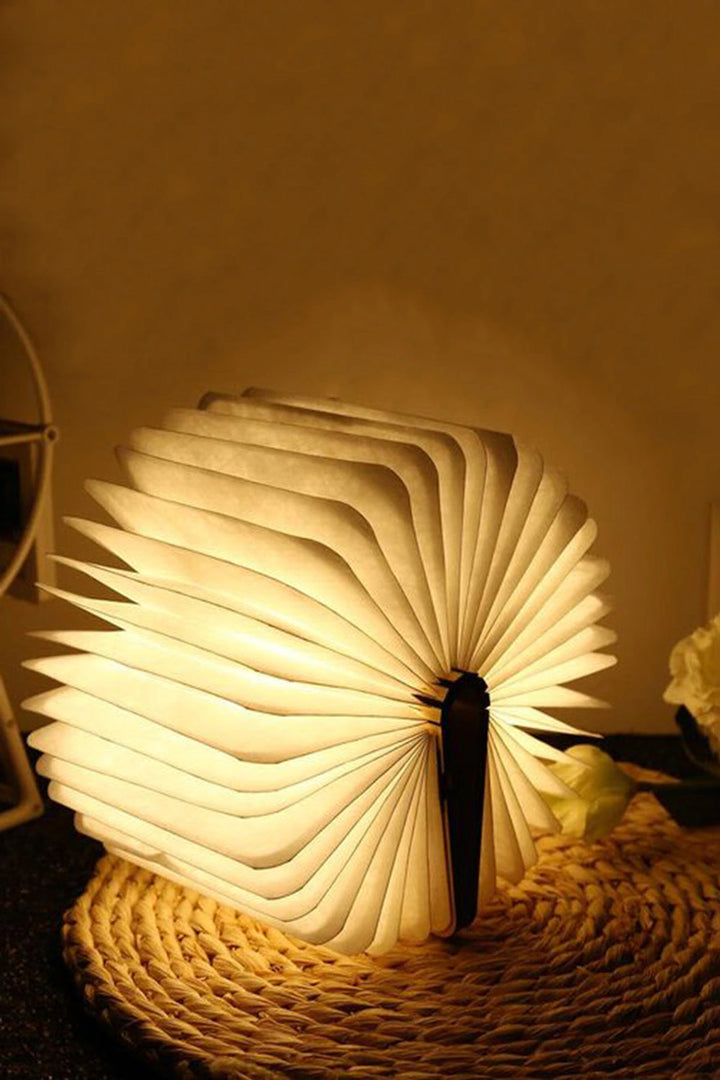 Book lamp