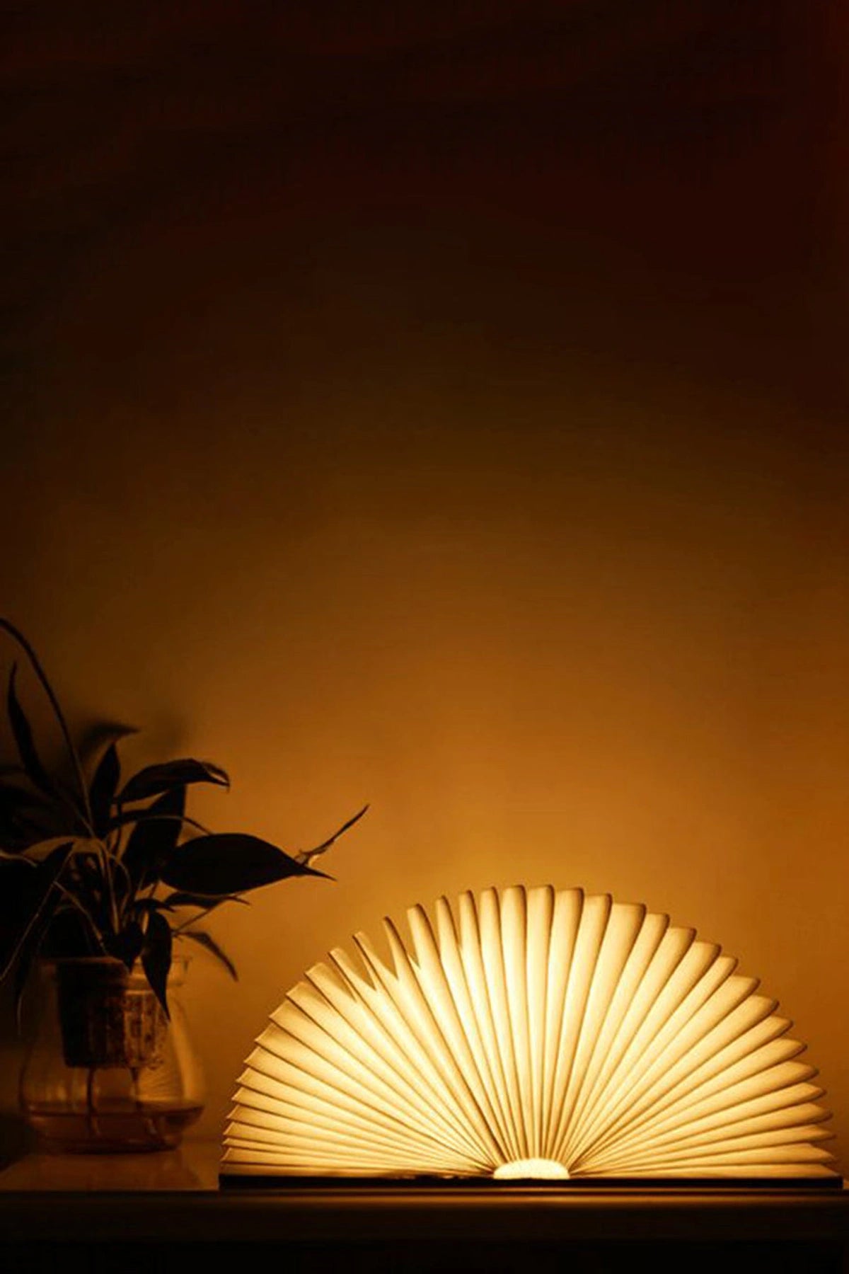 Book lamp