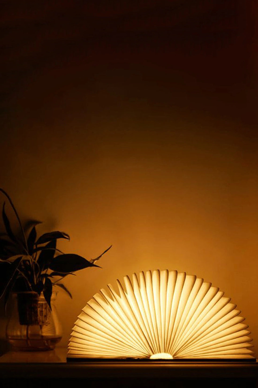 Book lamp