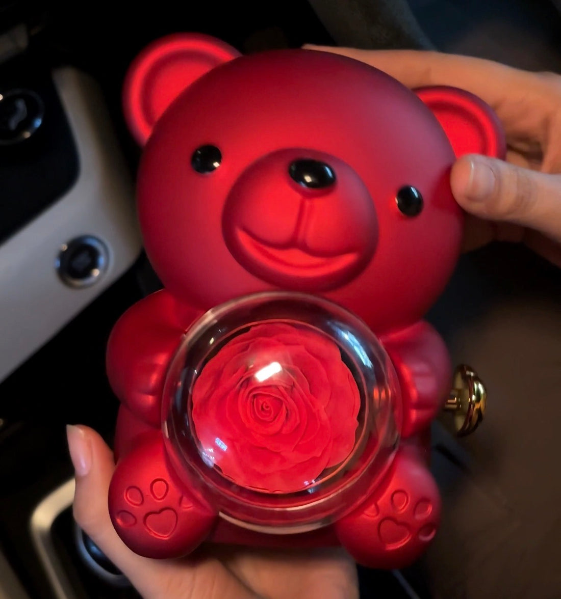 Rose bear gift box