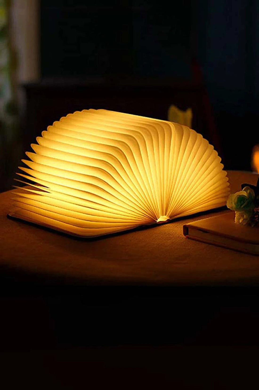 Book lamp