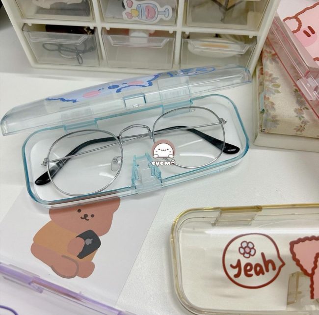 Spectacles hard case