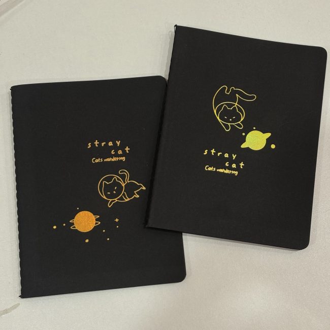 Black cat diary ( medium size)